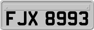 FJX8993