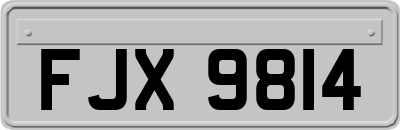 FJX9814