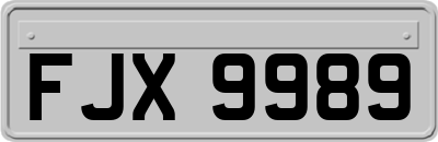 FJX9989