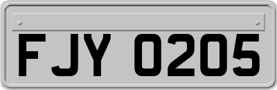FJY0205