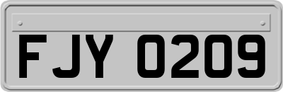 FJY0209