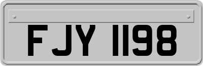 FJY1198