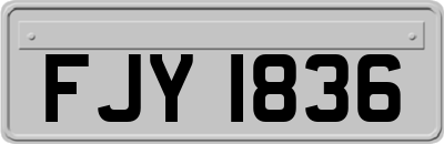 FJY1836