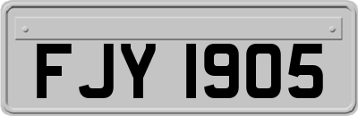 FJY1905