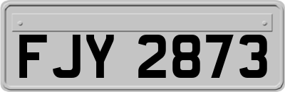 FJY2873