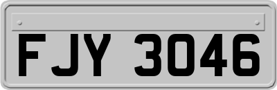 FJY3046