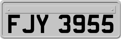 FJY3955