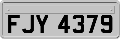 FJY4379