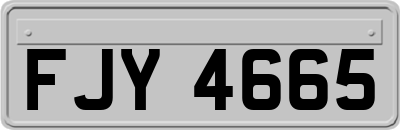 FJY4665