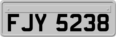 FJY5238