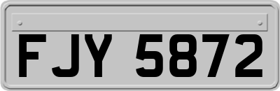 FJY5872