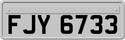 FJY6733