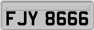 FJY8666