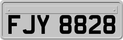 FJY8828