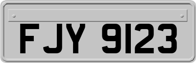 FJY9123
