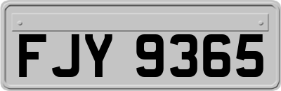 FJY9365