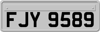 FJY9589