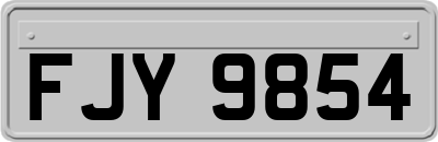 FJY9854