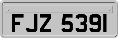 FJZ5391