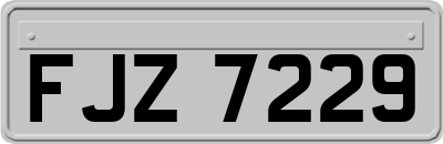 FJZ7229