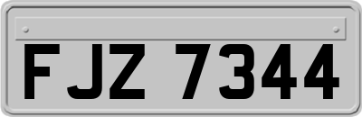 FJZ7344