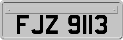 FJZ9113