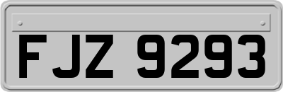 FJZ9293