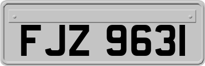 FJZ9631