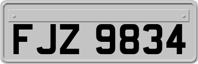 FJZ9834