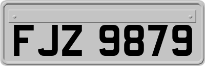 FJZ9879