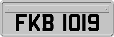FKB1019