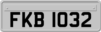 FKB1032