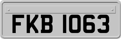 FKB1063