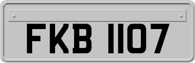 FKB1107