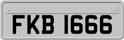 FKB1666
