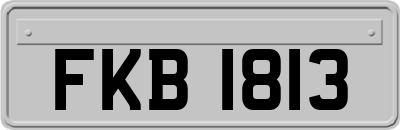 FKB1813