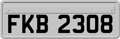 FKB2308