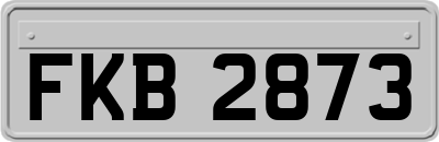 FKB2873