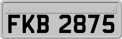 FKB2875