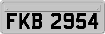 FKB2954