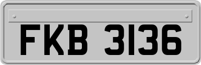 FKB3136