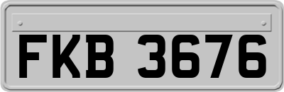 FKB3676