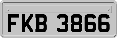 FKB3866