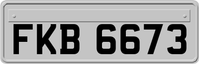 FKB6673