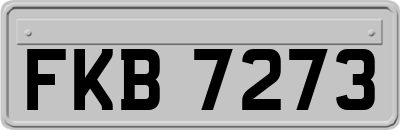 FKB7273