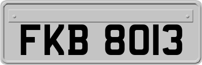 FKB8013
