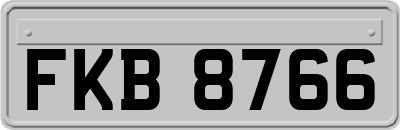 FKB8766