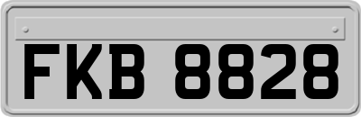 FKB8828