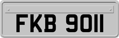 FKB9011