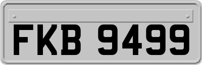 FKB9499